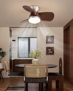 Plafonnier Ventilateur Dyms