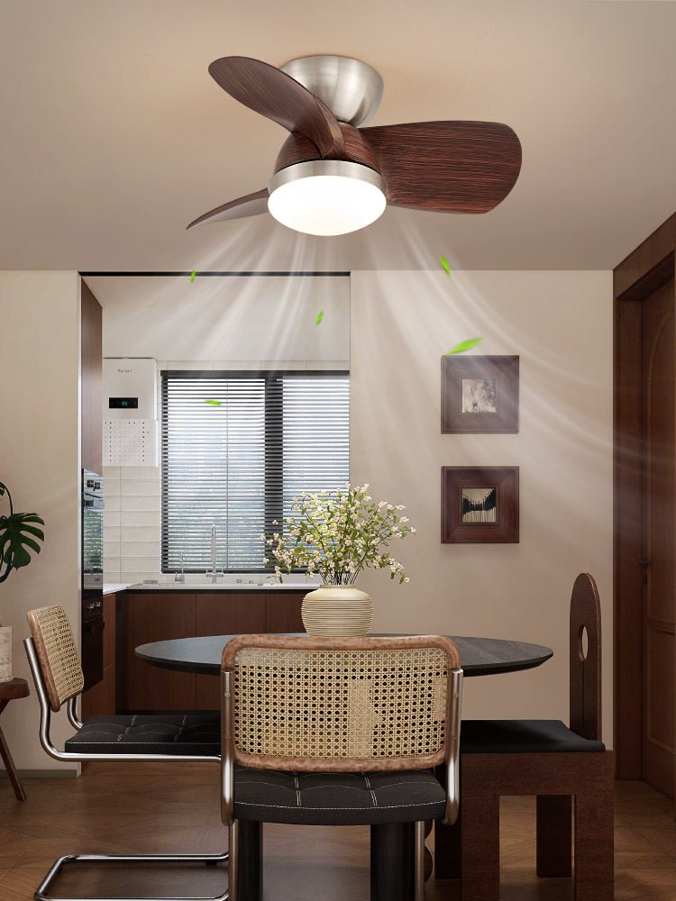 Plafonnier Ventilateur Dyms