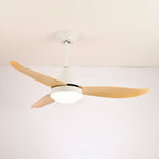 Ventilateur de plafond moderne Fia avec éclairage