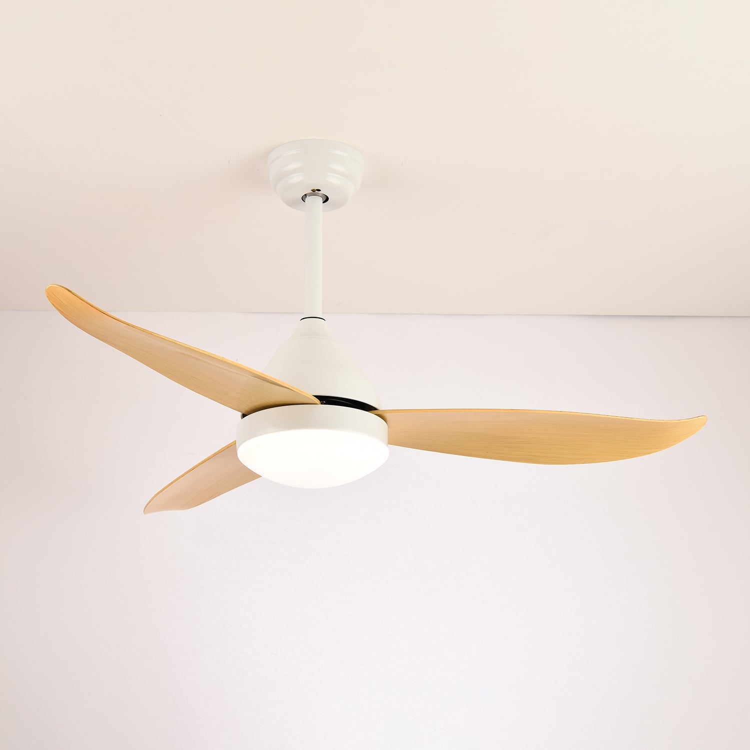 Ventilateur de plafond moderne Fia avec éclairage