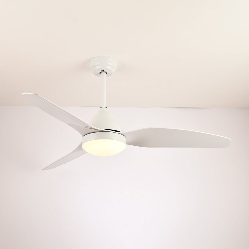 Ventilateur de plafond moderne Fia avec éclairage