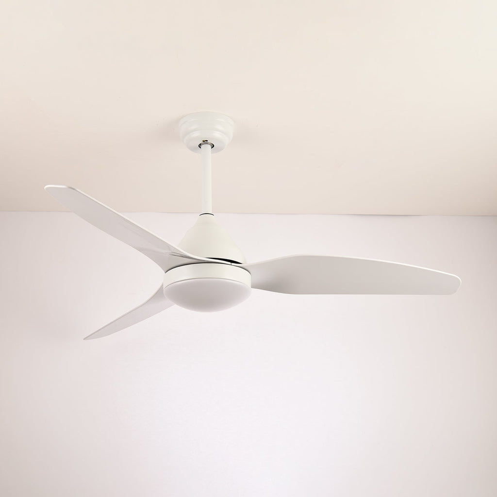 Ventilateur de plafond moderne Fia avec éclairage