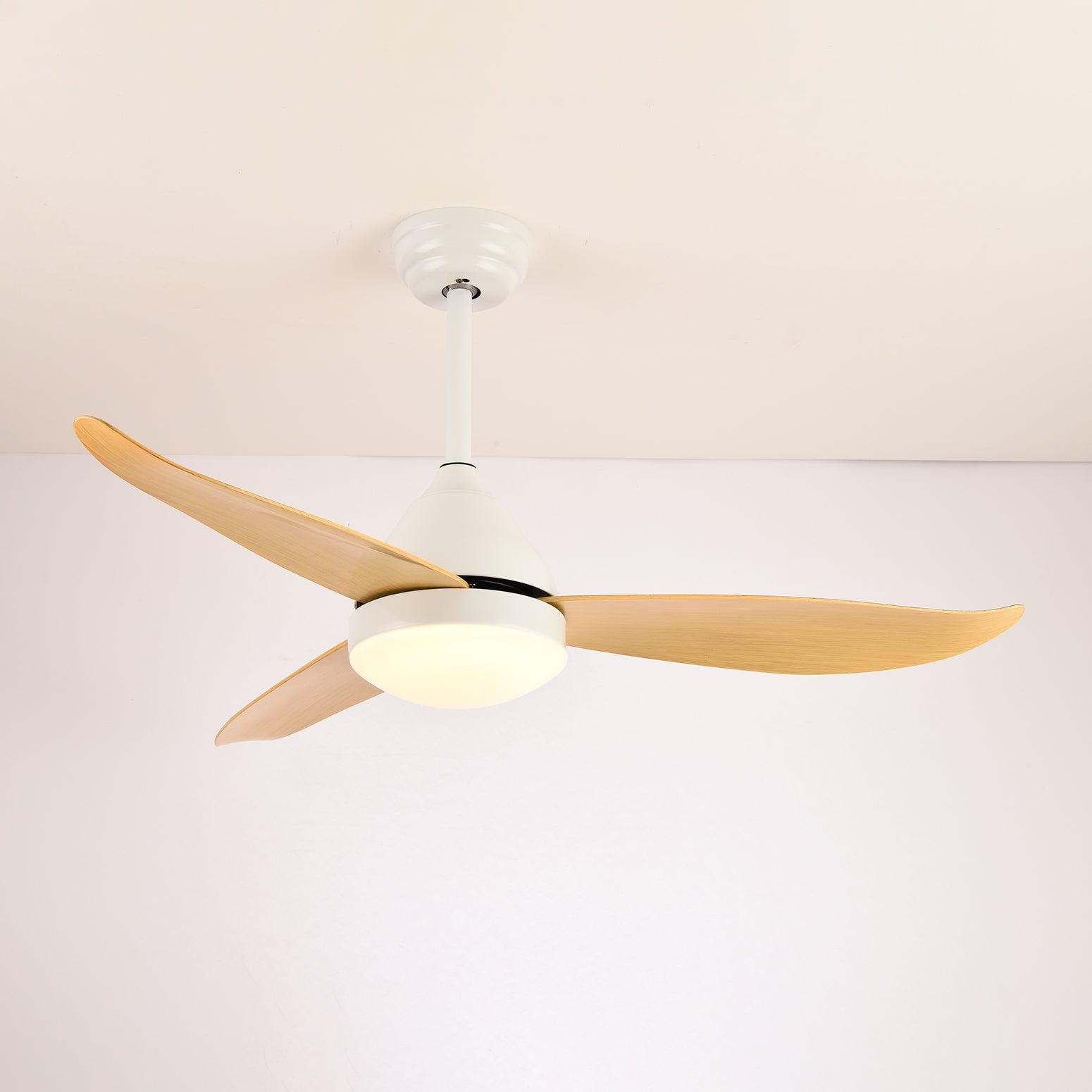 Ventilateur de plafond moderne Fia avec éclairage