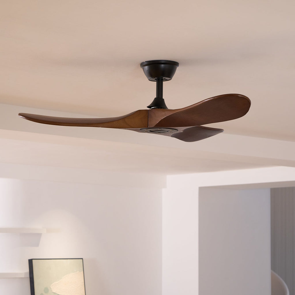 Ventilateur  bois Aviona