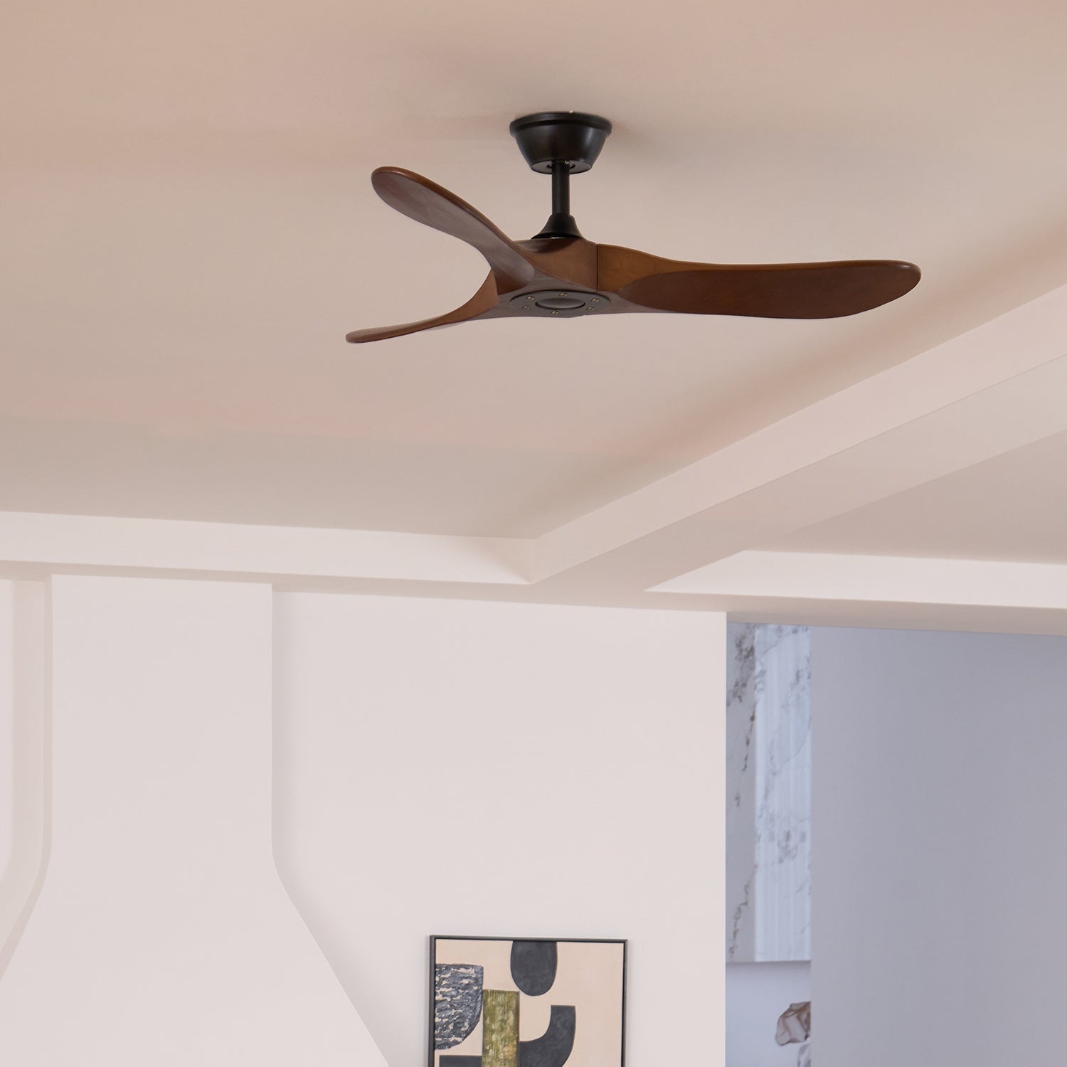 Ventilateur  bois Aviona