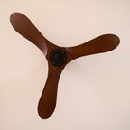 Ventilateur  bois Aviona