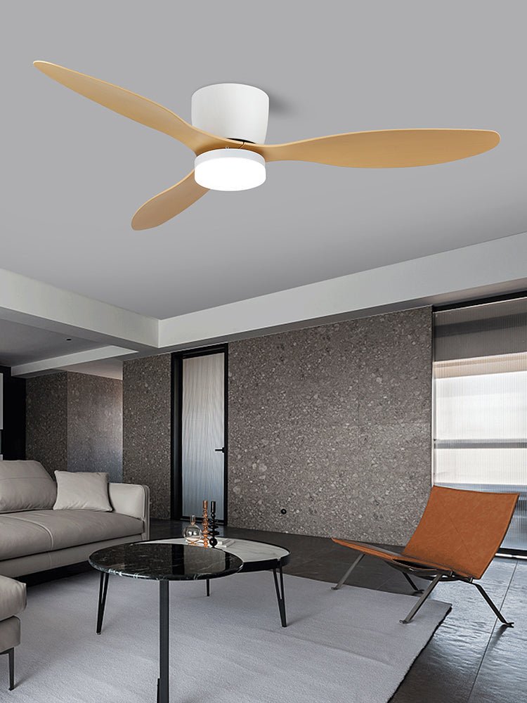 Ventilateur de plafond minimaliste Knox avec lumière