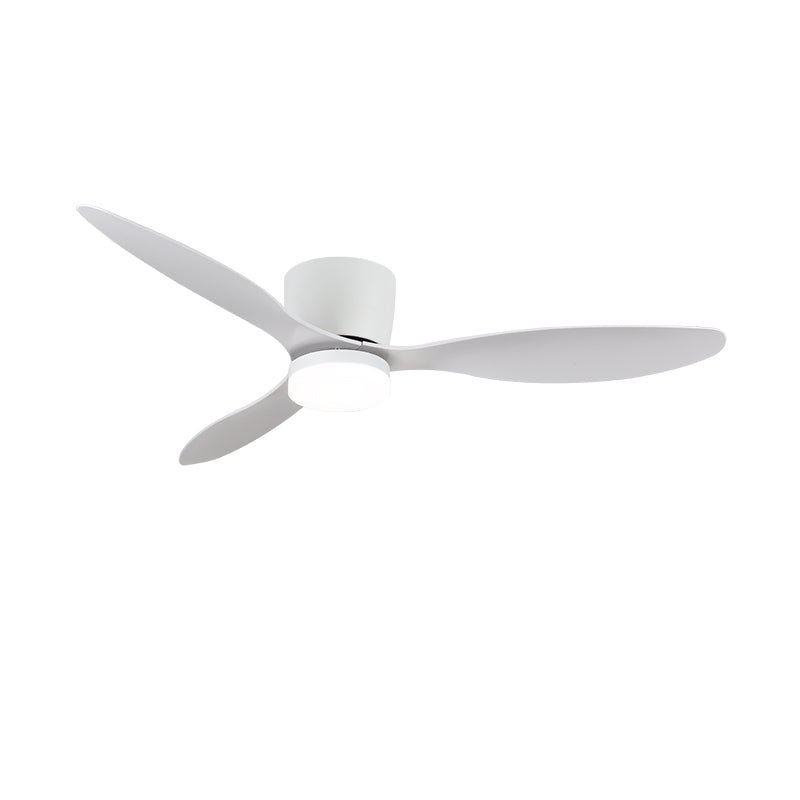 Brinor Ventilateur de Plafond Minimaliste en Bois avec Lumière
