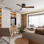 Ventilateur de plafond minimaliste Knox avec lumière