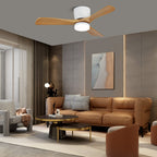 Ventilateur de plafond minimaliste Knox avec lumière