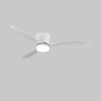 Ventilateur de plafond minimaliste Knox avec lumière