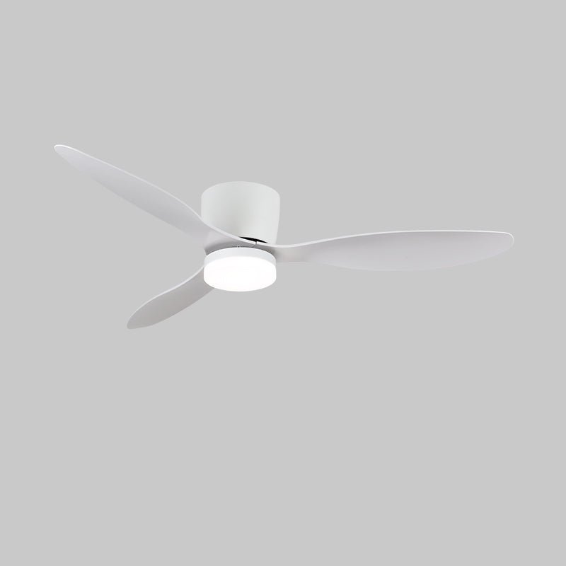 Ventilateur de plafond minimaliste Knox avec lumière