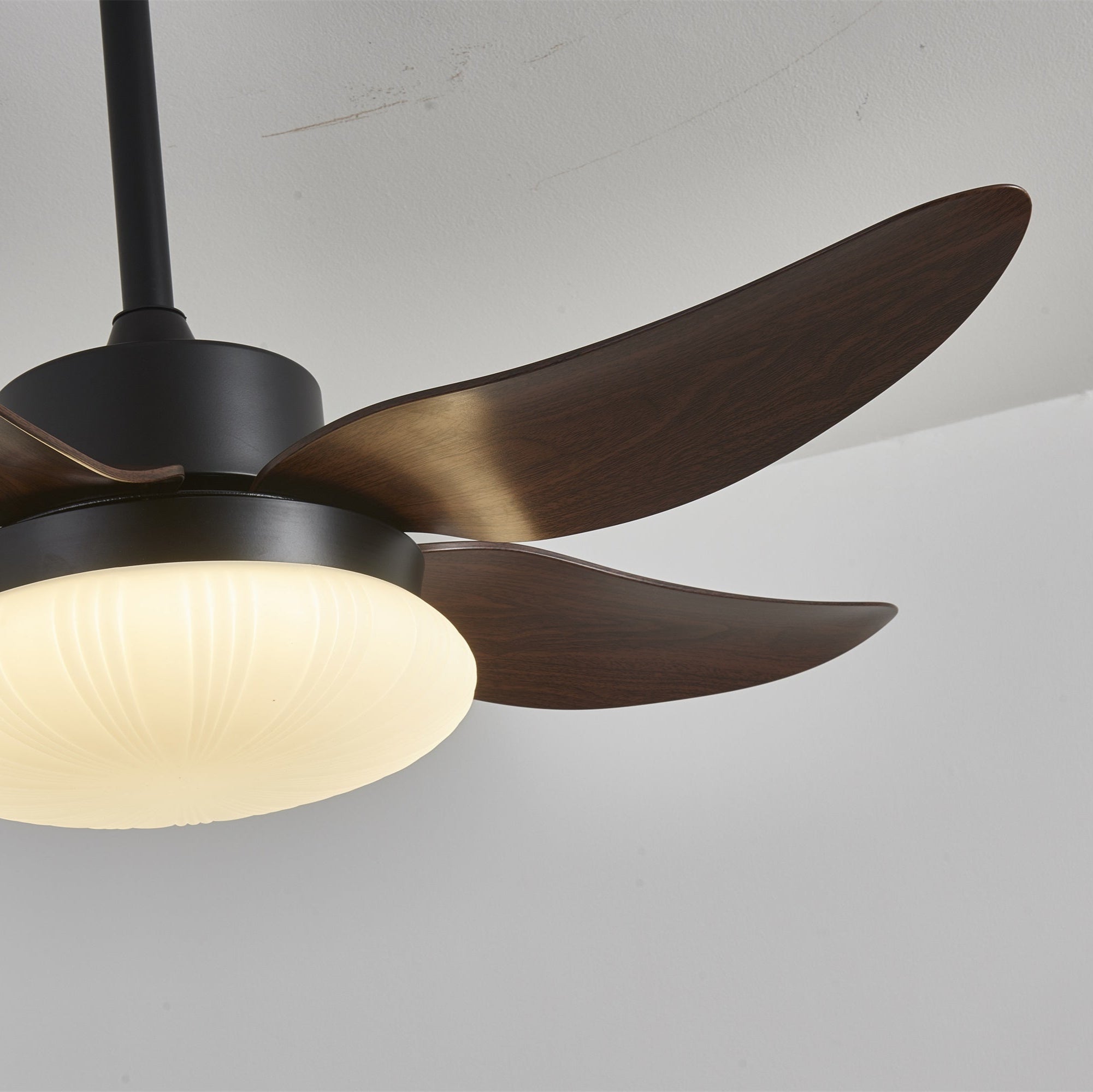 Zerith Ventilateur de Plafond Moderne en Bois avec Lumière