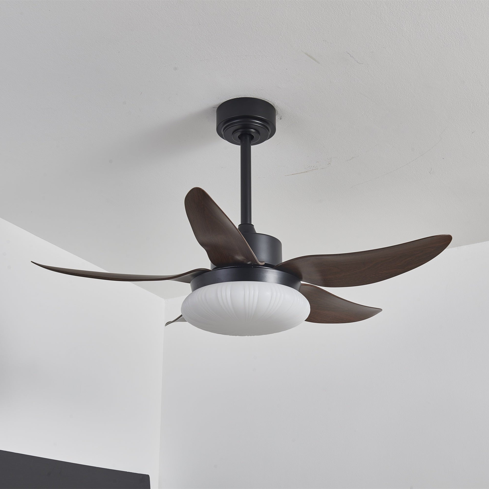 Zerith Ventilateur de Plafond Moderne en Bois avec Lumière