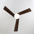 Ventilateur de plafond moderne en bois avec lumière Evraeis