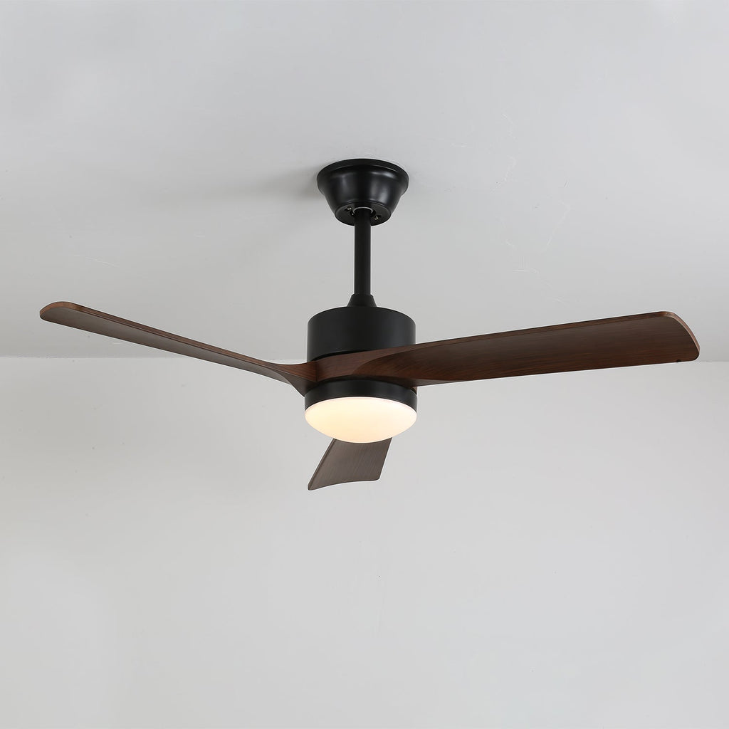 Ventilateur de plafond moderne en bois avec lumière Evraeis