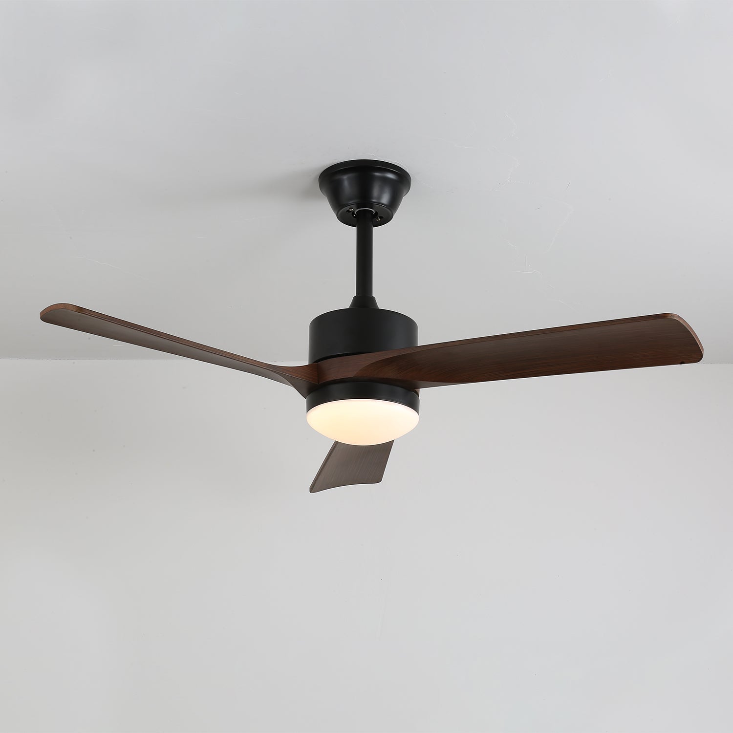 Ventilateur de plafond moderne en bois avec lumière Evraeis