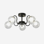Orb Lustre Plafonnier Verre Globe Fleur Cadre Noir