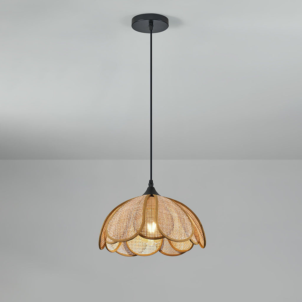 Eurvinel Élégance Floraison Rotin Tissu Suspension