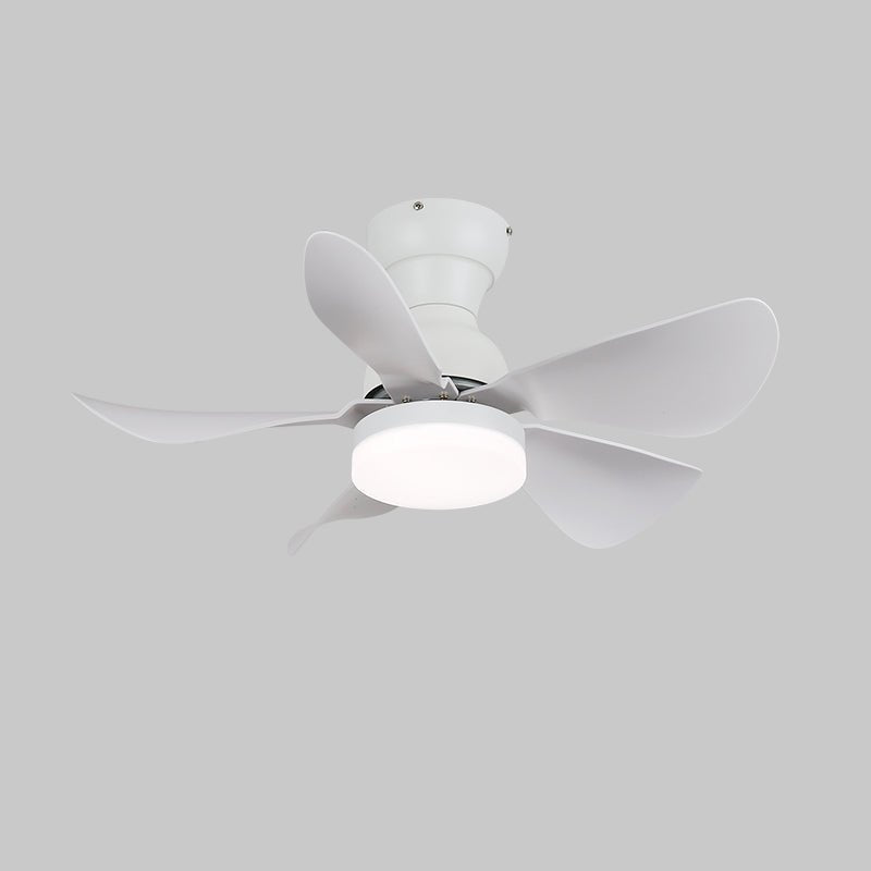 Ventilateur de Plafond Callen en Bois avec Lumière