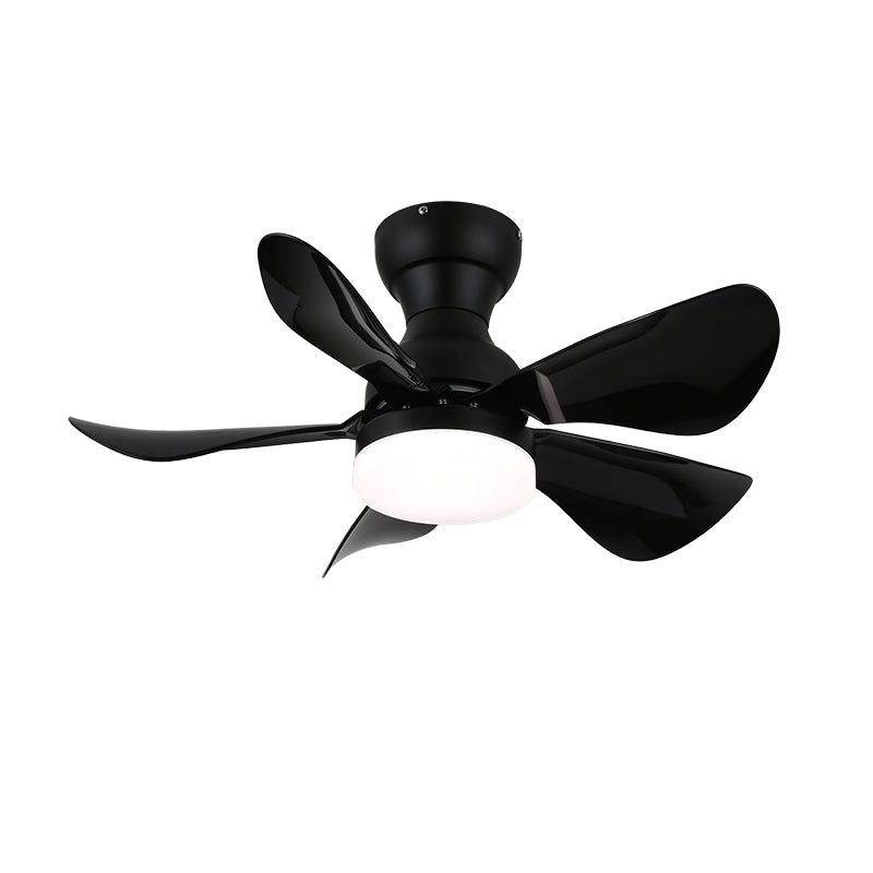 Ventilateur de Plafond Callen en Bois avec Lumière