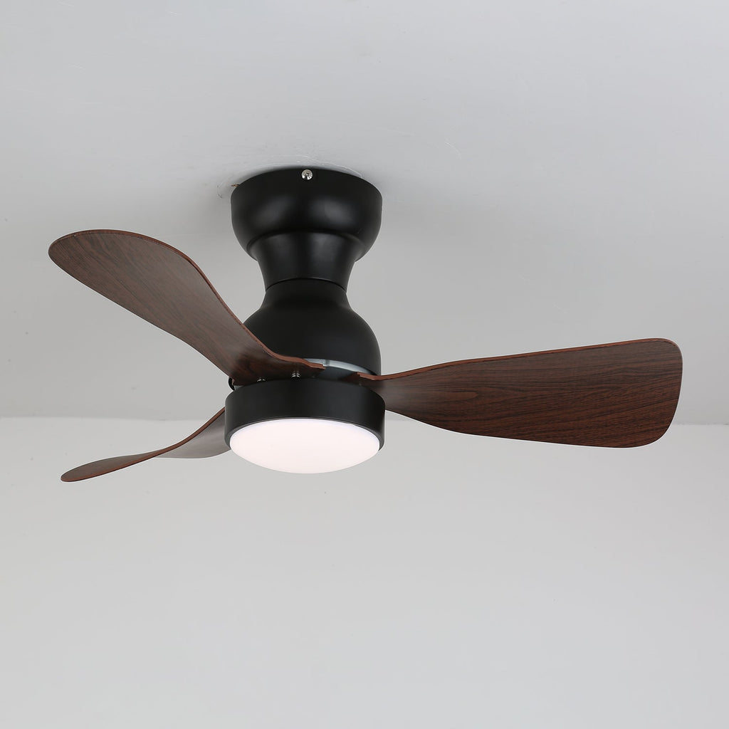 Aurdorus Plafonnier Ventilateur Moderne en Bois