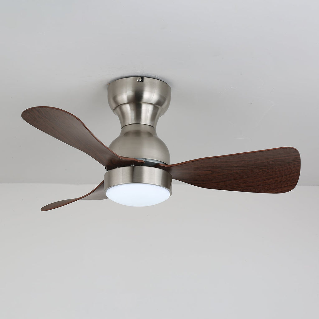 Aurdorus Plafonnier Ventilateur Moderne en Bois