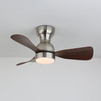 Aurdorus Plafonnier Ventilateur Moderne en Bois