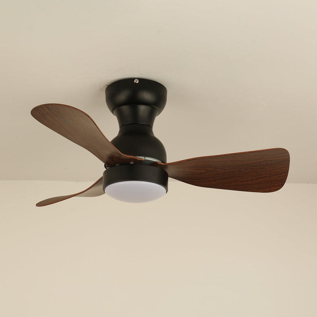 Aurdorus Plafonnier Ventilateur Moderne en Bois