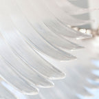 Eurrinia Verre Aile Groupe Lustre
