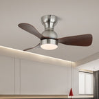 Aurdorus Plafonnier Ventilateur Moderne en Bois