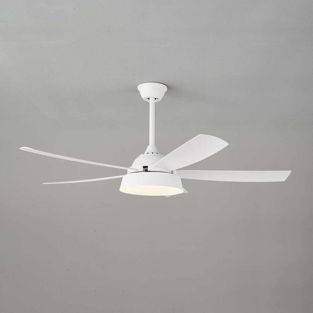 Ventilateur de Plafond Orvino en Bois avec Lumière