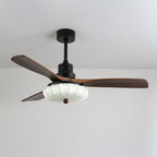 Ventra Plafonnier Ventilateur Vintage en Verre et Bois