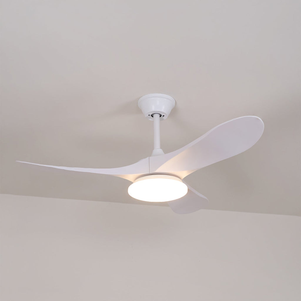 Ventilateur de plafond NovaVent avec lumière