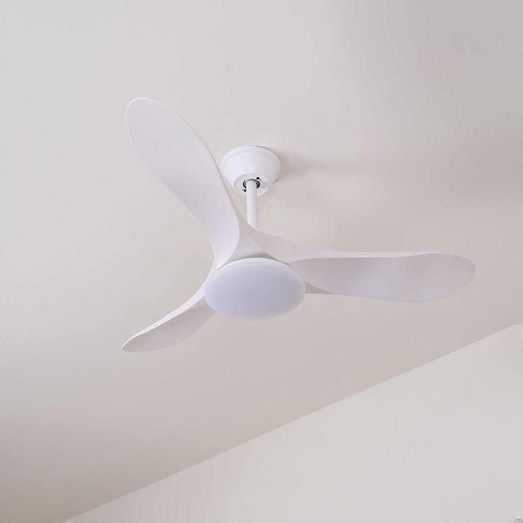 Ventilateur de plafond NovaVent avec lumière