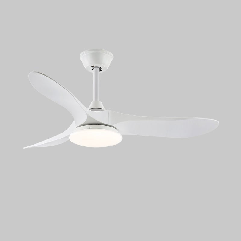 Ventilateur de plafond minimaliste Oriken avec lumière