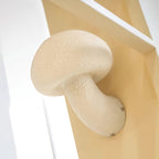 Myvarira Lampe Murale à Champignon Individuel en Résine