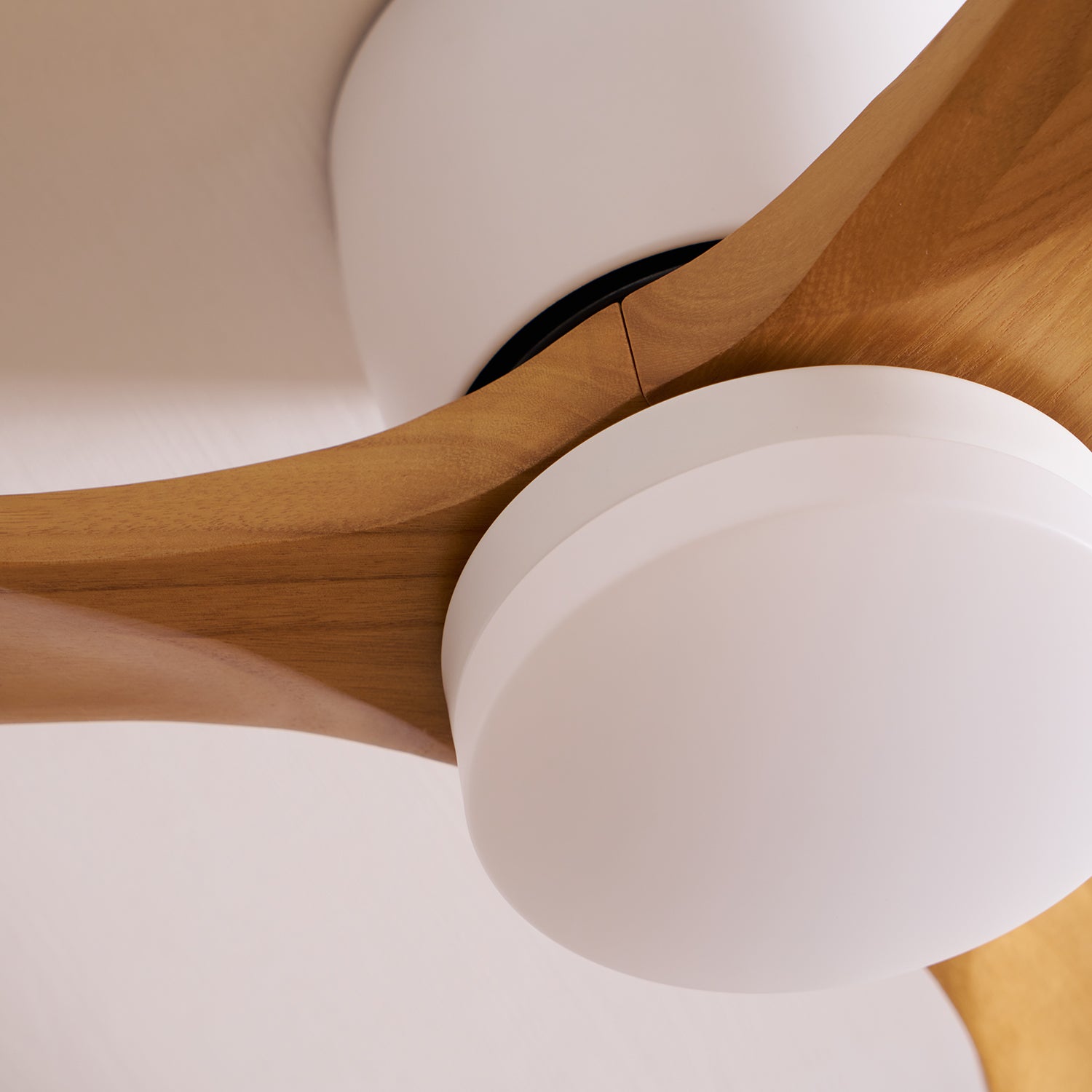 Ventilateur de plafond nordique en bois Ezra avec lumière