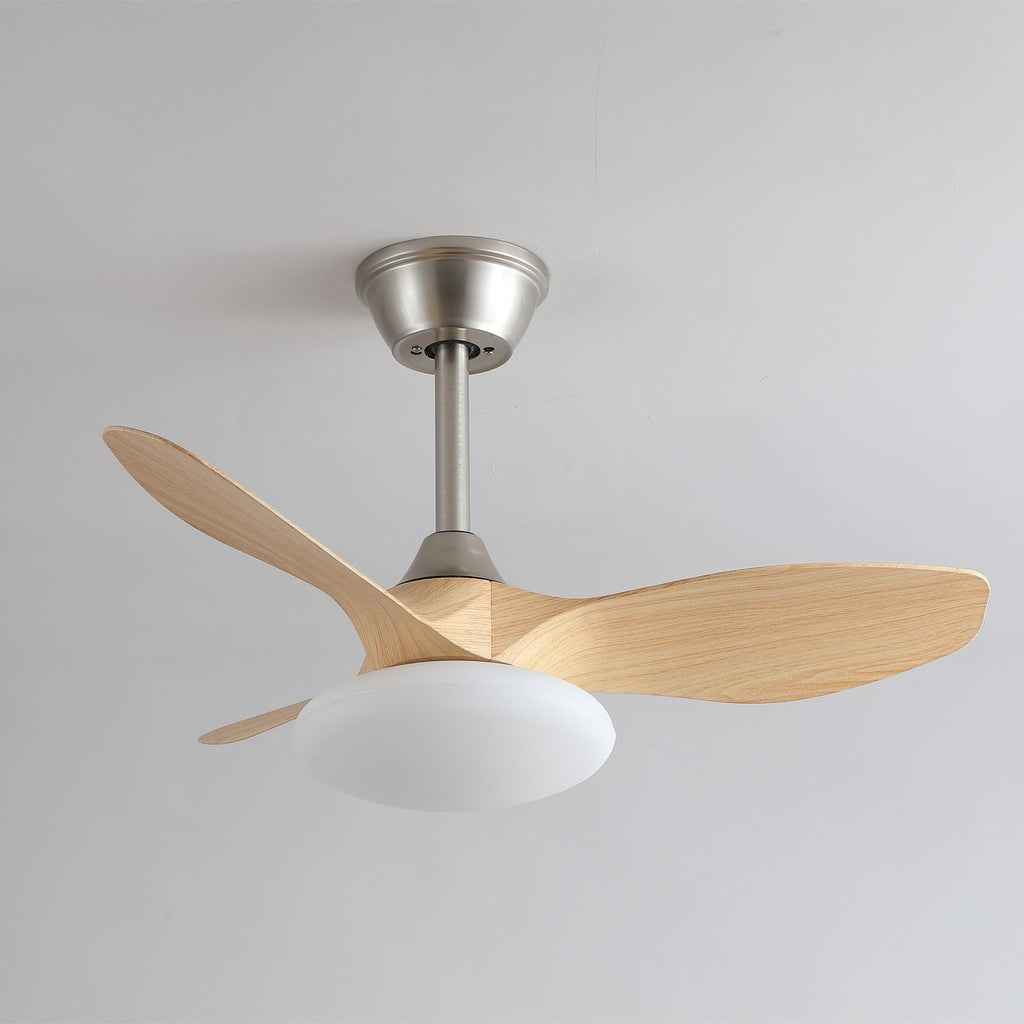 Ventilateur de plafond lumineux Sylvara