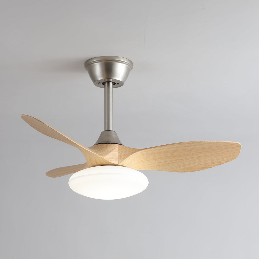 Ventilateur de plafond lumineux Sylvara