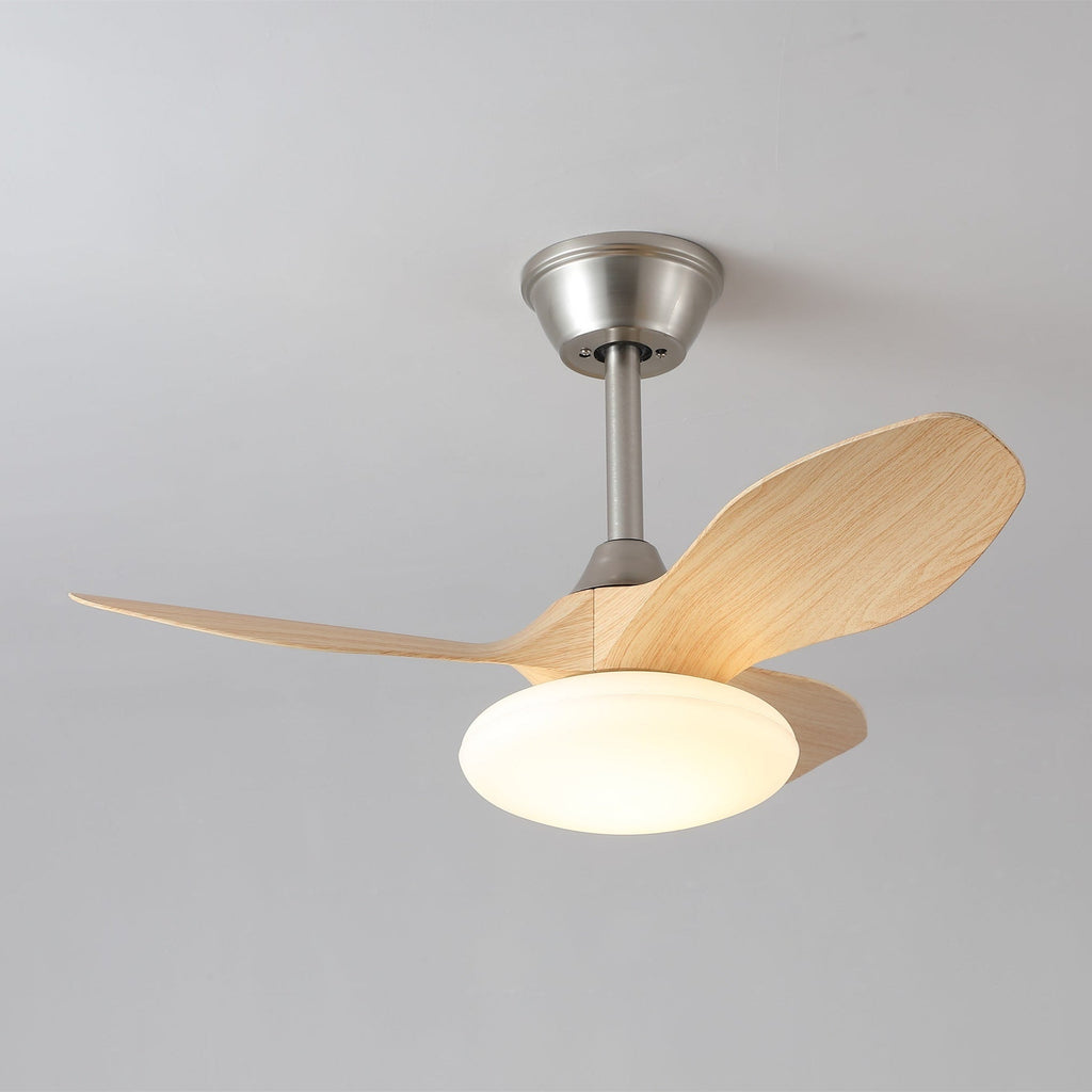 Ventilateur de plafond lumineux Sylvara