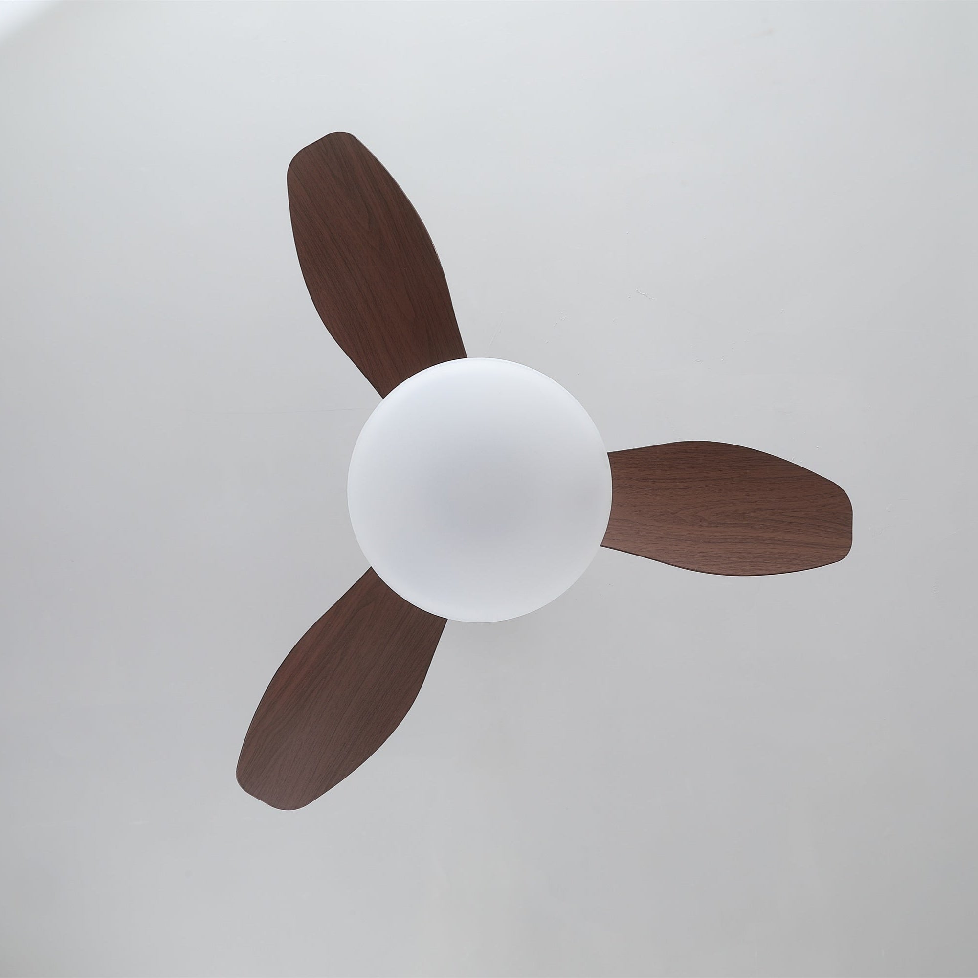 Ventilateur de plafond lumineux Sylvara