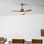 Ventilateur de plafond HushGlow avec lumière