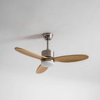 Ventilateur de plafond HushGlow avec lumière