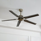Ventilateur de plafond Premium Vosolara