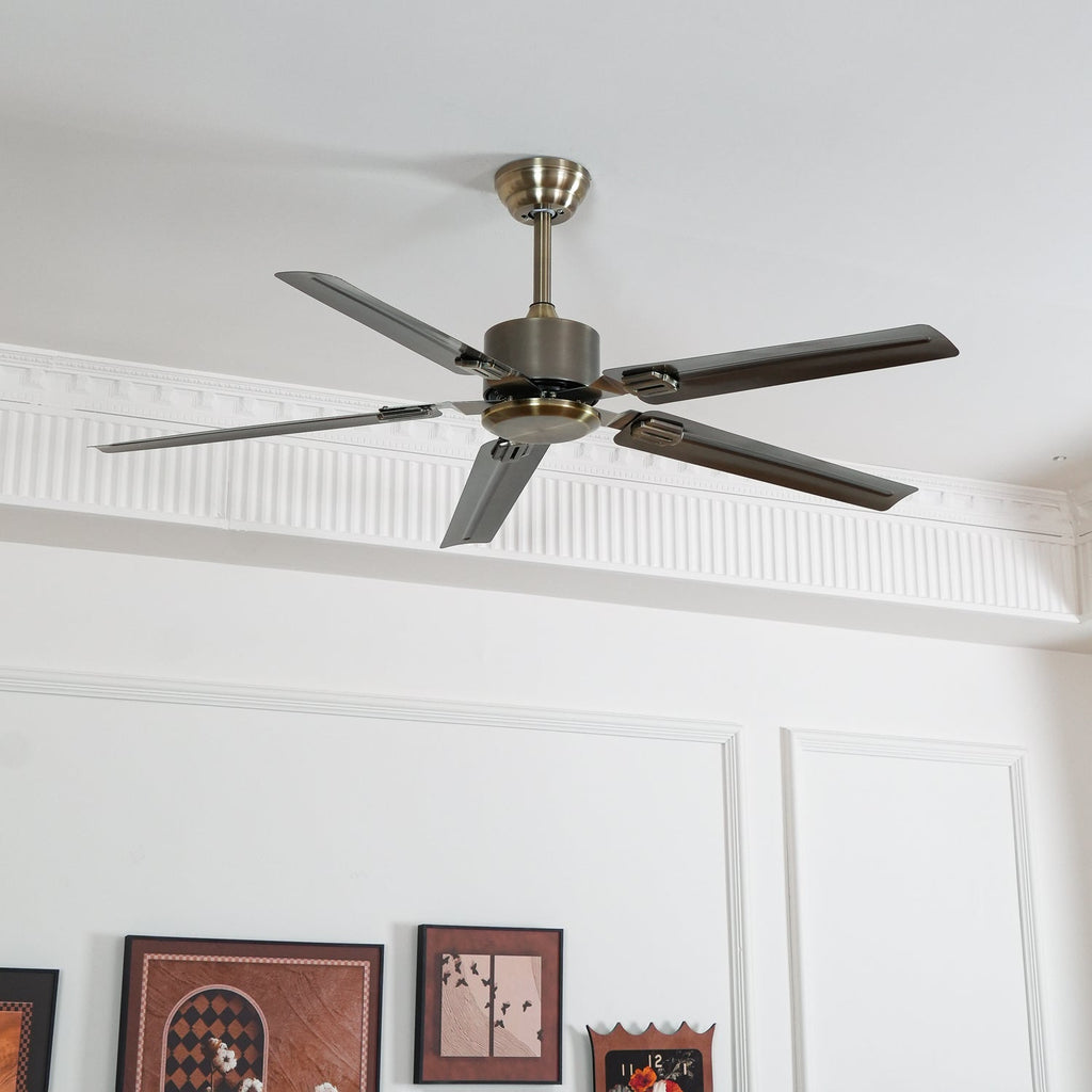Ventilateur de plafond Premium Vosolara