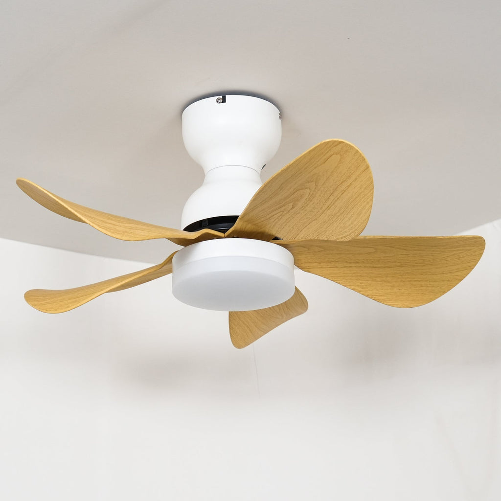 Ventilateur de Plafond Callen en Bois avec Lumière