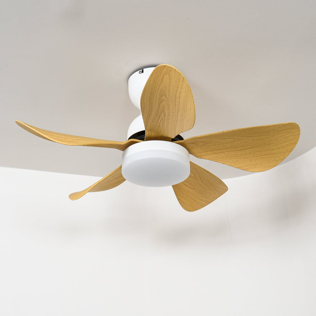 Ventilateur de Plafond Callen en Bois avec Lumière