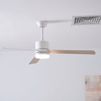 Lennox Drift Plafonnier Ventilateur