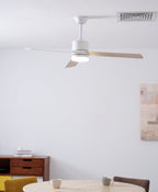 Lennox Drift Plafonnier Ventilateur